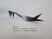 Photo Origami Shark, Author : Hideaki Sakata, Folded by Tatsuto Suzuki